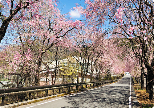 人情味あふれる川根本町